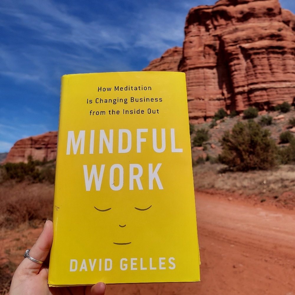 Mindful meditation book🙏💟